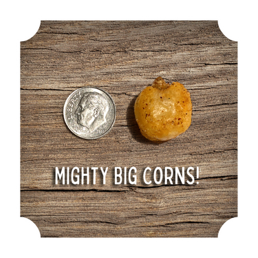 CRUNCHIN' CORN - VARIETY PACK